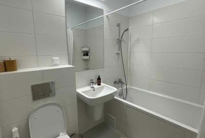 Apartament cu 2 camere decomandat, mobilat în Timișoara - 2