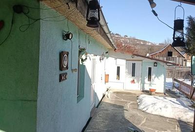 Casă cu 2 camere în Țichindeal - 6