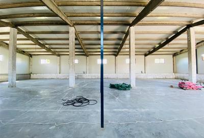 Spațiu industrial, de 540 mp, în Central - 18