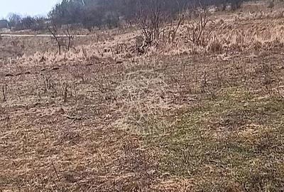 Teren de 10000 mp, în Chinteni - 5