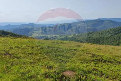 Teren de 128948 mp, în Munteni - 6