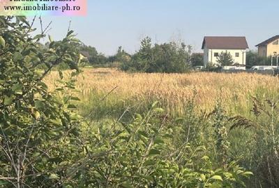 Teren de vanzare - Blejoi-(sat Ploiestiori) - 1