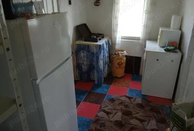 Vand casa cu 2500 mp teren - 5