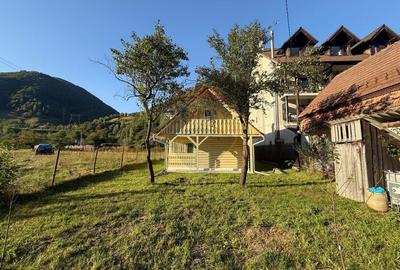 Casa de vacanta pe Valea Lotrioarei in cadru de vis - 2