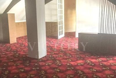 CLADIRE DESTINATIE MULTIPLA || VILA EMBLEMATICA || INCHIRIERE || 0%COMISION - 4