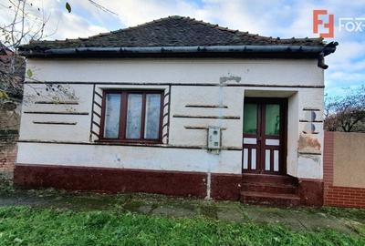 Teren intravilan de 1300 mp, Asfalt - Jebel - 2