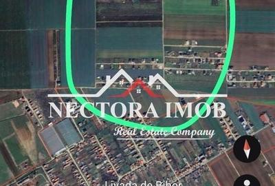 Spațiu comercial, în Livada de Bihor - 3