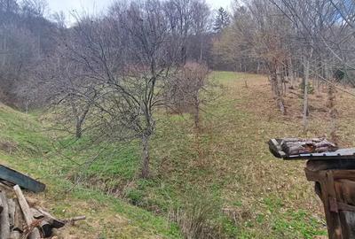 Vand casa in localitatea BAIUT - 5