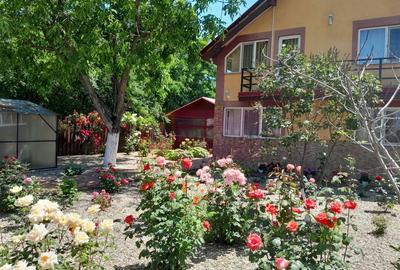 Movilita  (IL) - de vanzare casa 5 cam p+1 - 9