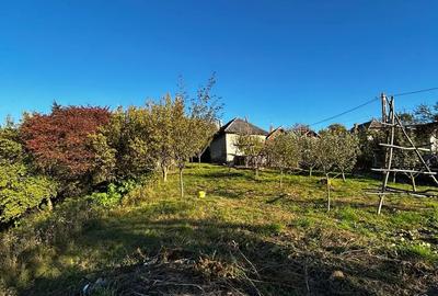 Casa batraneasca + teren 5000mp - 4