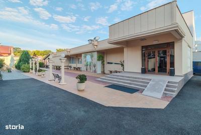 Spațiu comercial, de 530 mp, în Băile Felix - 5