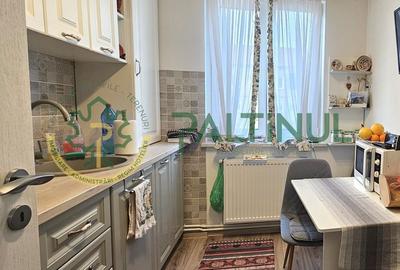 Apartament cu 2 camere decomandat, mobilat în Cedonia - 7