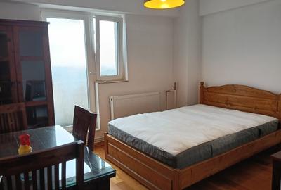 Primul chirias, Vedere superba asupra Parcului Natural Vacaresti - 8