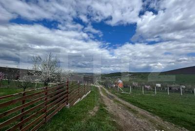 Casă cu 2 camere cu Teren 1751 Mp în Bogata - 5