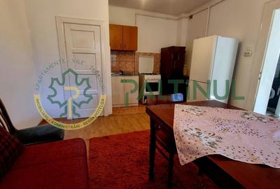 Casă cu teren generos 802 mp - Cartier Turnișor, Sibiu - 6