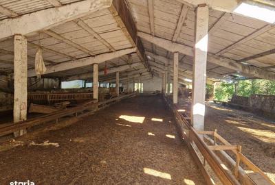 Spațiu comercial, de 2,596 mp, în Jichișu de Jos - 3