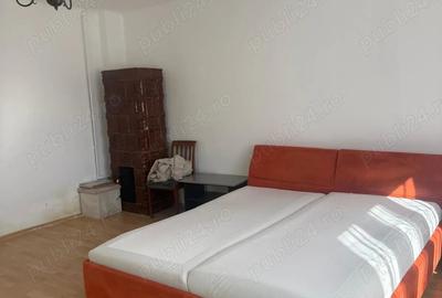 Vand casa in Turnisor, Sibiu - 2