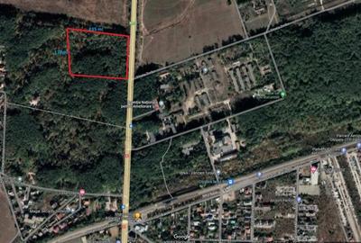 Proiect Unic 1 ha teren constructii in mijlocul padurii Otopeni-Corbeanca pe DN1 Proiect Unic 1 ha teren constructii in mijlocul padurii Otopeni-Corbeanca pe DN1 - 1