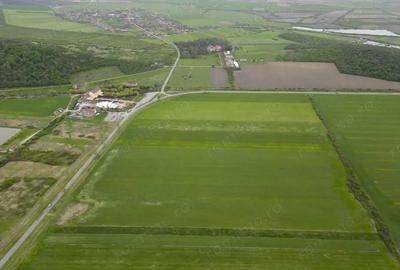 Teren extravilan de 22500mp Zona Ineu - 5