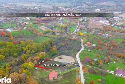 Teren de 3000 mp, în Copalnic - 4