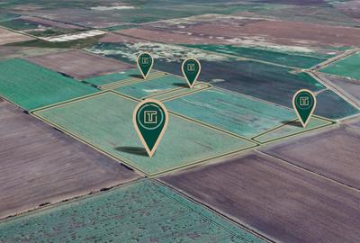 Teren agricol extravilan de 117500 mp, în Turnu - 4