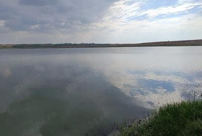 Teren de 10000 mp, în Hotarele