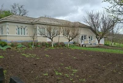 Casă cu 6 camere cu Teren 1900 Mp în Mihai Bravu - 5