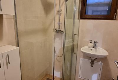 Spațiu comercial, de 24 mp, în Brâncoveanu - 6