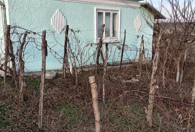 Casa. 7& Casa. 7& - 2