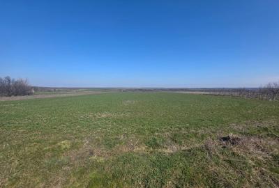 Teren Construcții extravilan de 3800 mp, în Exterior Nord - 3