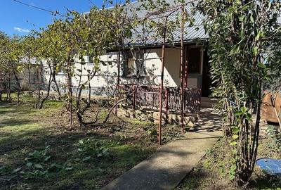 Dridu, judetul Ialomita - 7