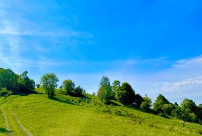 Terenuri extravilane Cozieni, jud. Buzau 70000mp - 13