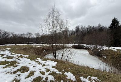 Teren de 3600 mp, în Horodnic - 2