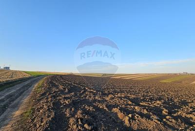 Teren agricol extravilan de 30077 mp, în Stroiești - 5