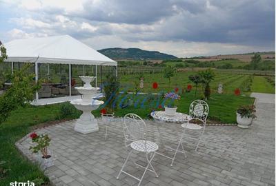 Casă cu 3 camere cu Teren 5800 Mp în Jucu - 5