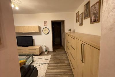 Tineretului Visana, bloc 1981, renovat complet, mobilat - 16