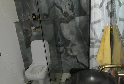 Apartament la casa amenajat modern, complet mobilat, zona Pia?a Mihai Viteazul, et. 1 - 9