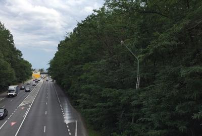 Teren Construcții intravilan de 24000 mp, în Corbeanca - 1