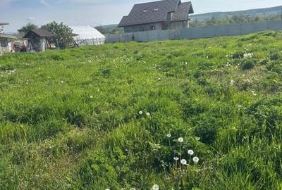 Teren Construcții intravilan de 1400 mp, în Preajba - 10