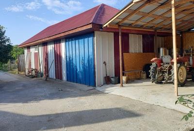 Casă cu 2 camere în Zimnicea - 5