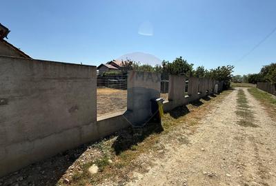 Casă / Vilă cu 5 camere zona Sud - 4