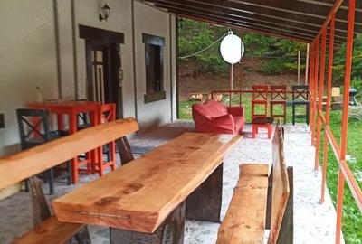 Casă cu 6 camere cu Teren 970 Mp în Pojorâta - 9