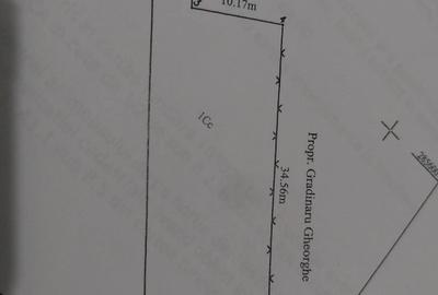 Spațiu comercial, în Topraisar - 2