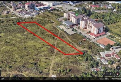 Teren Voluntari - 2