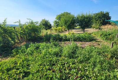 Casă cu 3 camere în Izvor - 1