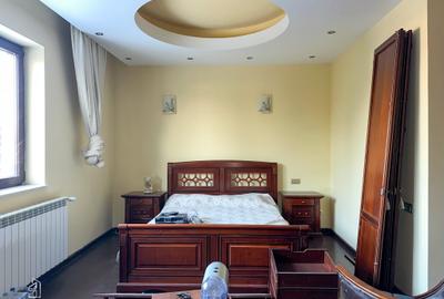 Duplex cu 11 camere cu Teren 1130 Mp în Pantelimon - 23