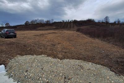 Spațiu comercial, în Hunedoara - 7