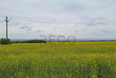 Reco, teren intravila la E60 sacadat - 5