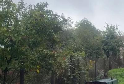 Proprietar vand casa P+M,curte ,anexe ?i gradina - 4