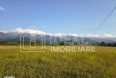 Spațiu comercial, în Cârțișoara - 7